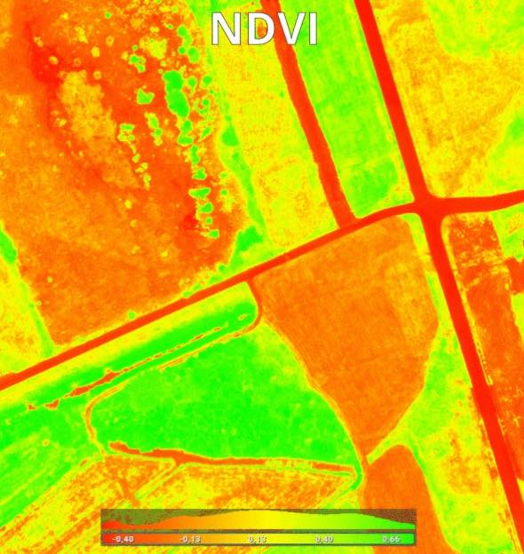 NDVI analiza